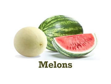 Eagle Eye Produce Melons