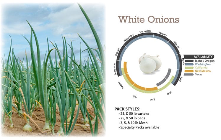 White Onions