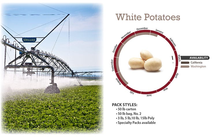 White Potatoes