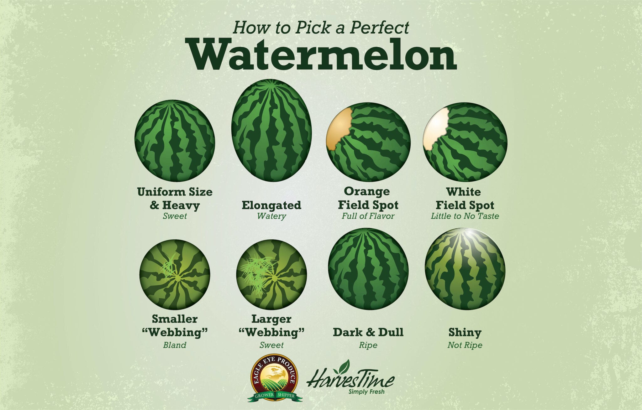 How to Pick a Perfect Watermelon - Eagle Eye Produce