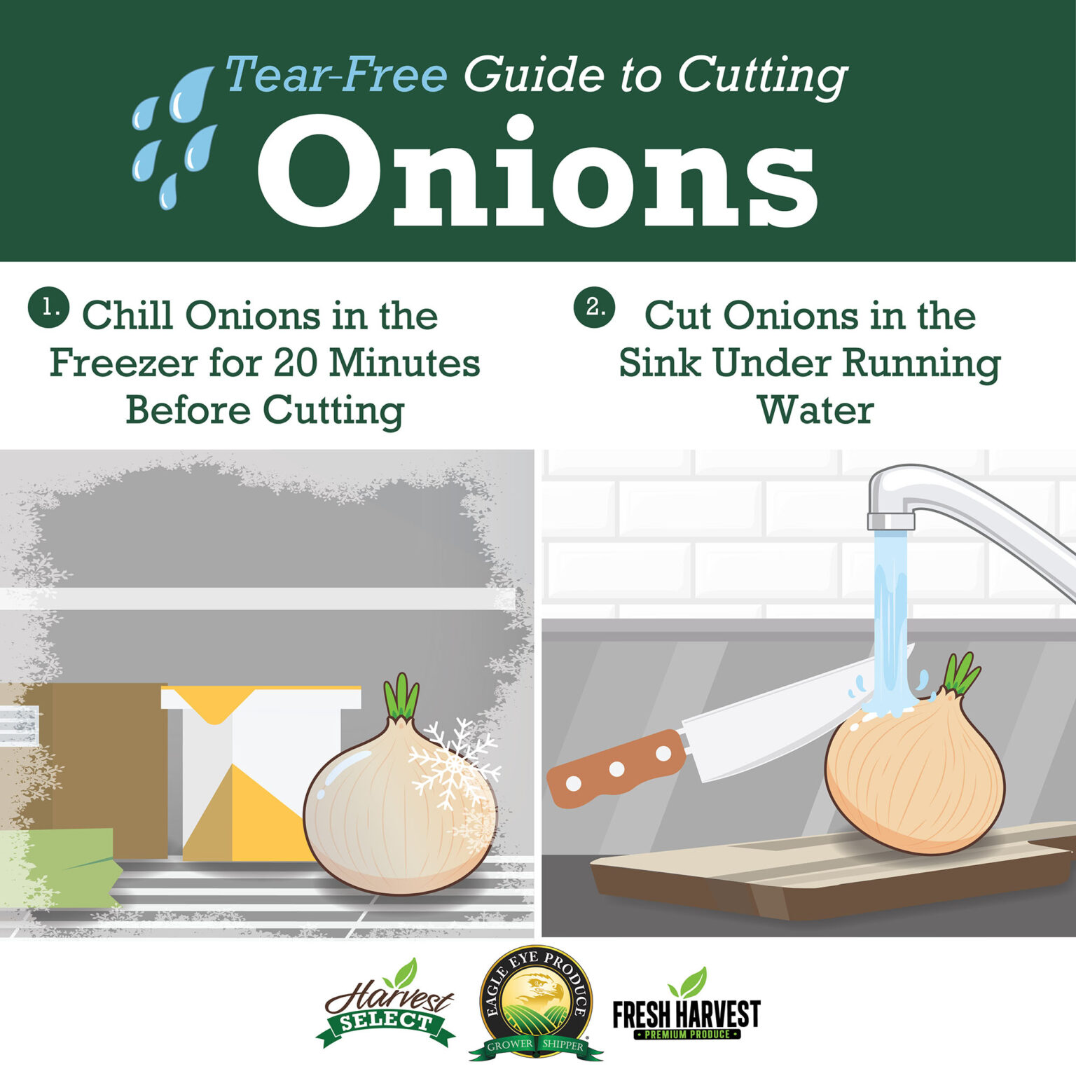 Tear Free Guide to Cutting Onions Eagle Eye Produce