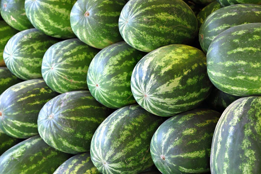 Watermelon Stacked on Top of Each Other