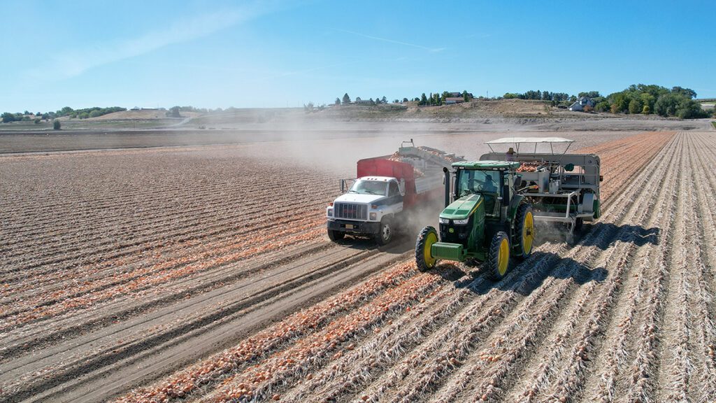 Two Trucks Going Along the Field