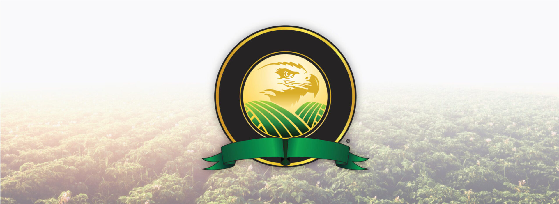 OurMission4-01 OurMission4-01