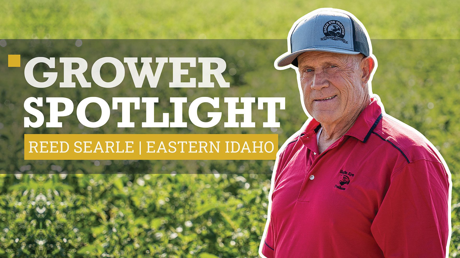 Grower Spotlight | Reed Searle - Eagle Eye Produce