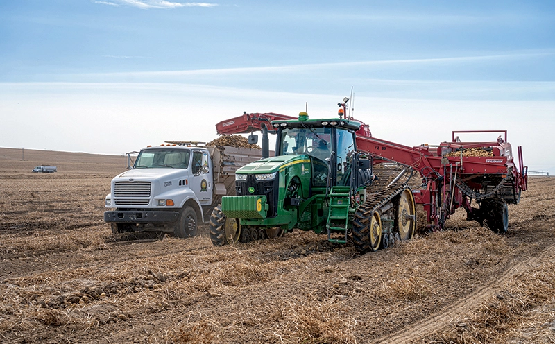 A Green Truck With a White Truck Collecting Potatoes