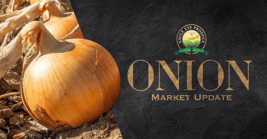 An Onion Market Update Template on a Black Background