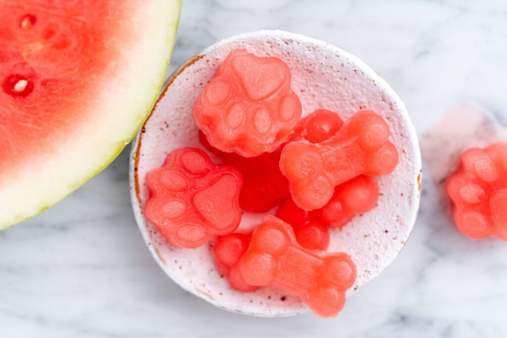 Dog Shaped Watermelon Popsicles