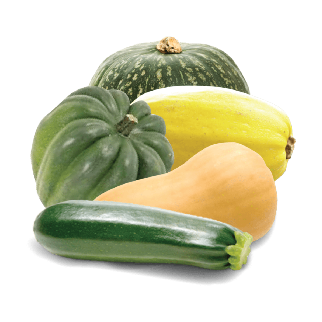 Squash