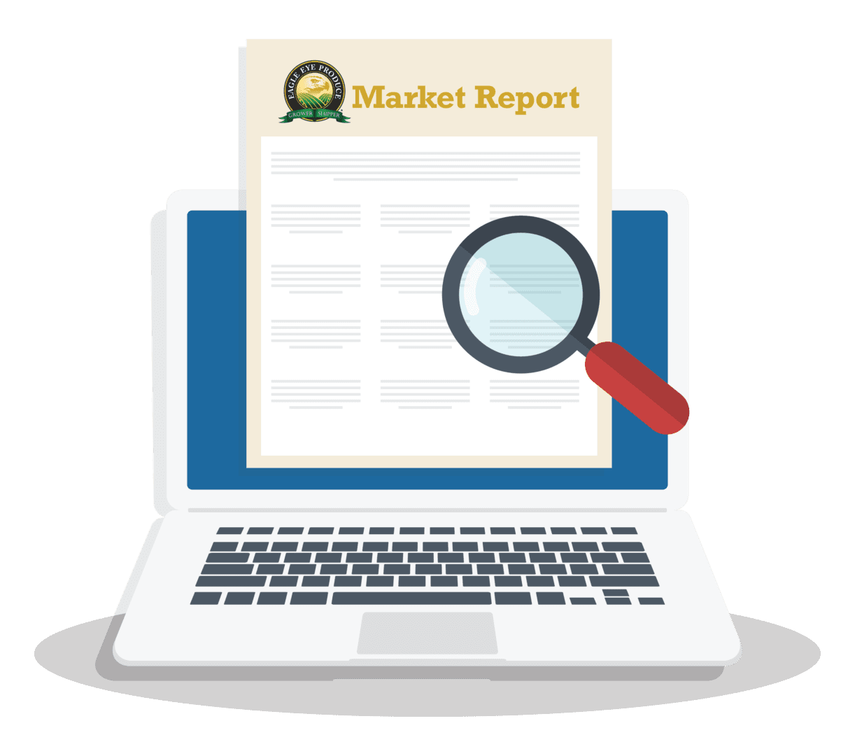 MarketReport-Graphic MarketReport-Graphic