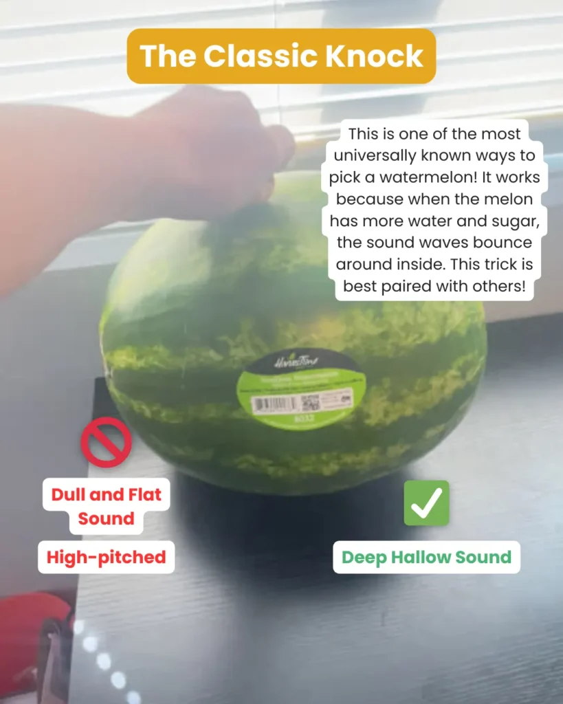 Knocking on a watermelon