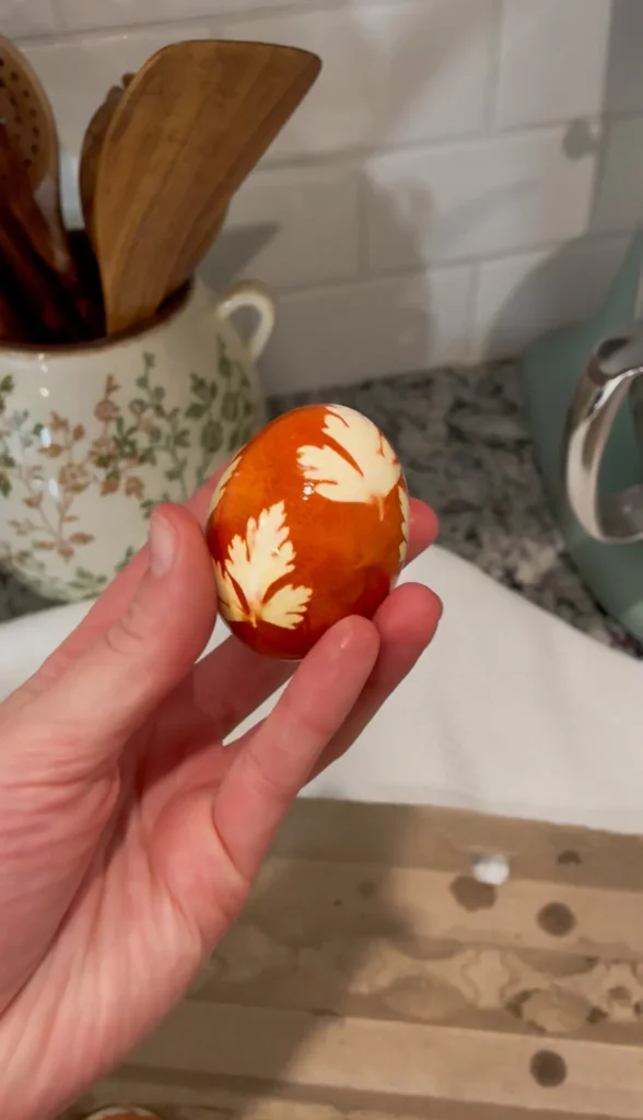 Naturally dyed Easter egg by onion skins displaying unique patterns made by herbs