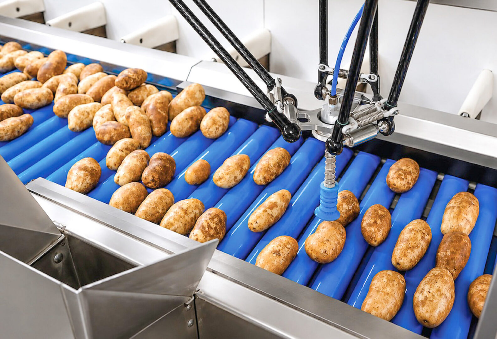 Robotic potato sorter at an Eagle Eye Produce packing facility