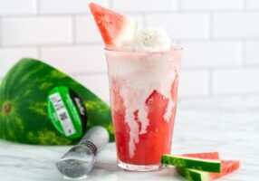 WatermelonIcecreamFloat-17